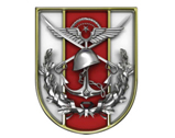 Slr Yangın